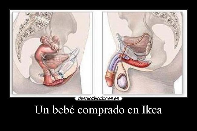 Un bebé comprado en Ikea - 