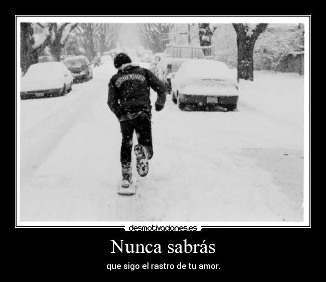 carteles nunca desmotivaciones