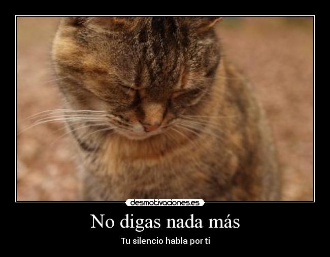 No digas nada más - 