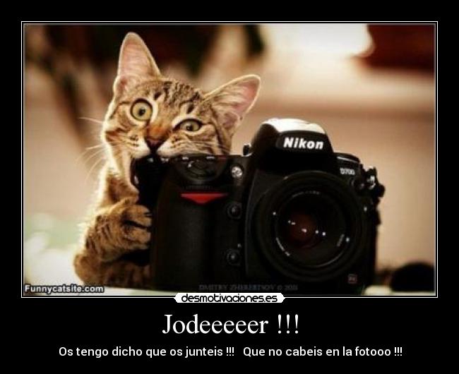Jodeeeeer !!! - Os tengo dicho que os junteis !!!   Que no cabeis en la fotooo !!!
