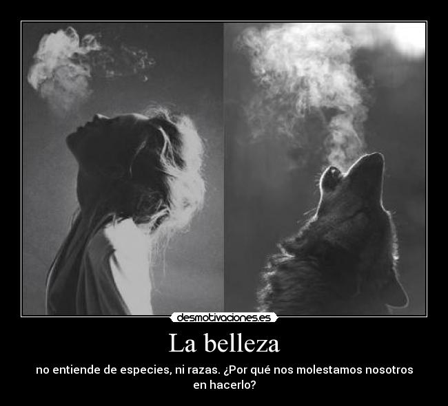 La belleza - no entiende de especies, ni razas. ¿Por qué nos molestamos nosotros en hacerlo?