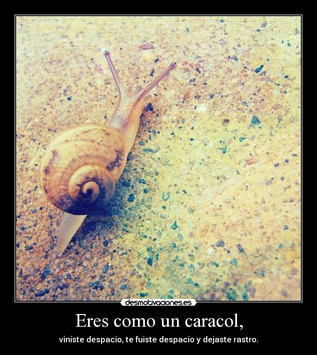 Eres como un caracol, - 