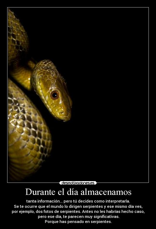Durante el día almacenamos - tanta información... pero tú decides como interpretarla.
Se te ocurre que el mundo lo dirigen serpientes y ese mismo día ves,
por ejemplo, dos fotos de serpientes. Antes no les habrías hecho caso,
pero ese día, te parecen muy significativas.
Porque has pensado en serpientes.