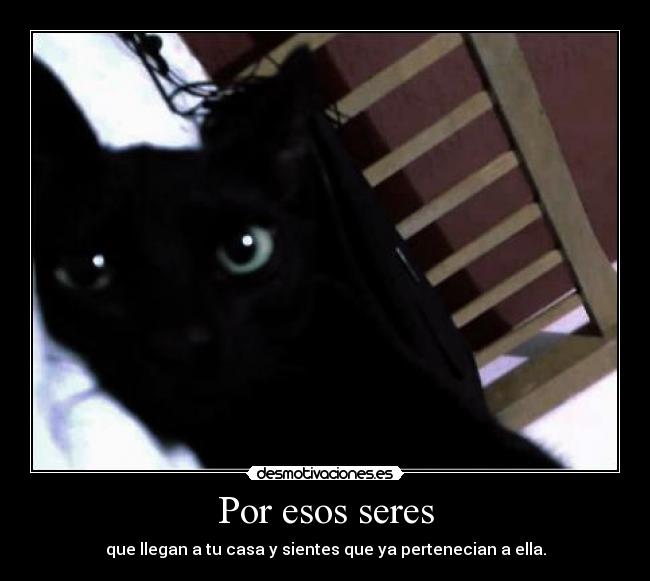 Por esos seres - 