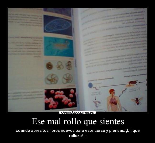 Ese mal rollo que sientes -