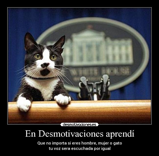 En Desmotivaciones aprendí -