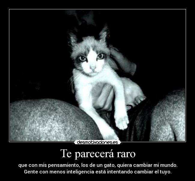 Te parecerá raro - que con mis pensamiento, los de un gato, quiera cambiar mi mundo.
Gente con menos inteligencia está intentando cambiar el tuyo.