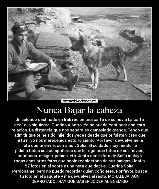 Nunca Bajar la cabeza - Un soldado destinado en Irak recibe una carta de su novia La carta
decí­a lo siguiente: Querido Alberto. Ya no puedo continuar con esta
relación. La distancia que nos separa es demasiado grande. Tengo que
admitir que te he sido infiel dos veces desde que te fuiste y creo que
ni tu ni yo nos merecemos esto, lo siento. Por favor devuélveme la
foto que te envié, con amor, Sofía. El soldado, muy herido, le
pidió a todos sus compañeros que le regalaran fotos de sus novias,
hermanas, amigas, primas, etc. Junto con la foto de Sofía incluyó
todas esas otras fotos que había recolectado de sus amigos. Habí­a
57 fotos en el sobre y una nota que decí­a: Querida Sofía.
Perdóname, pero no puedo recordar quien coño eres. Por favor, busca
tu foto en el paquete y me devuelves el resto. MORALEJA: AÚN
DERROTADO...HAY QUE SABER JODER AL ENEMIGO