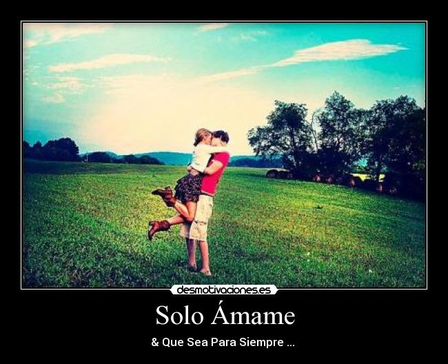 carteles amame desmotivaciones