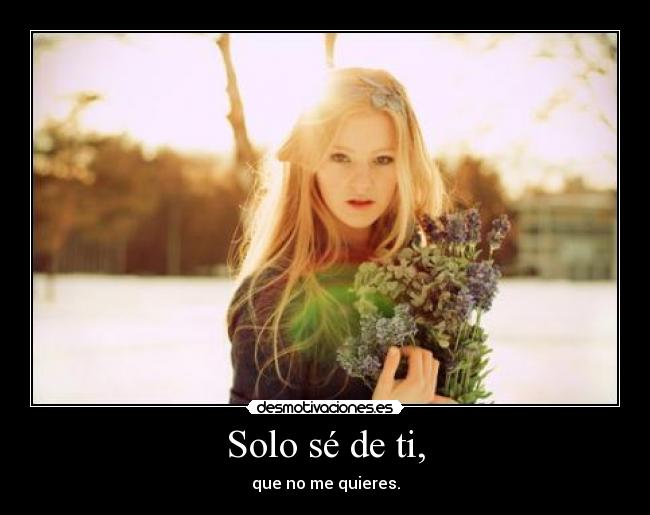 Solo sé de ti, - que no me quieres.