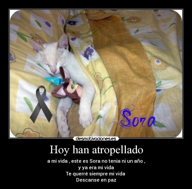 Hoy han atropellado -