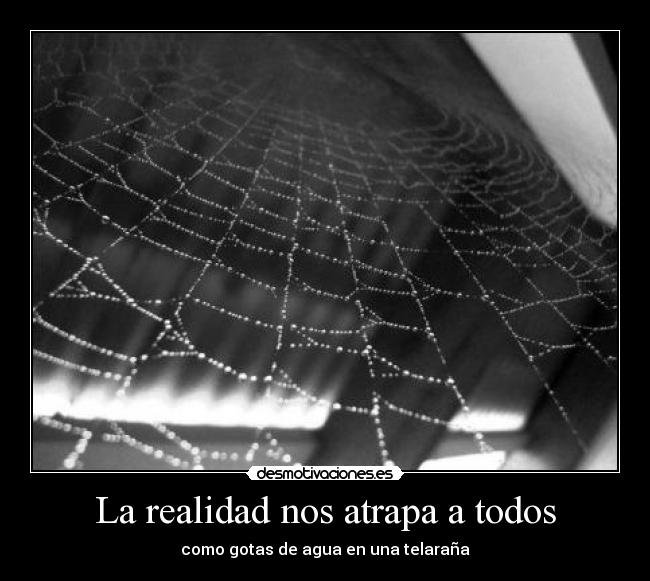 La realidad nos atrapa a todos -