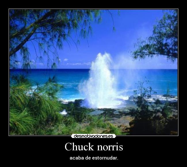 Chuck norris - 