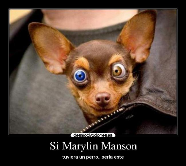 Si Marylin Manson - tuviera un perro...sería este