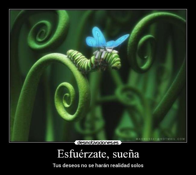 carteles suenos esfuerzo deseos desmotivaciones