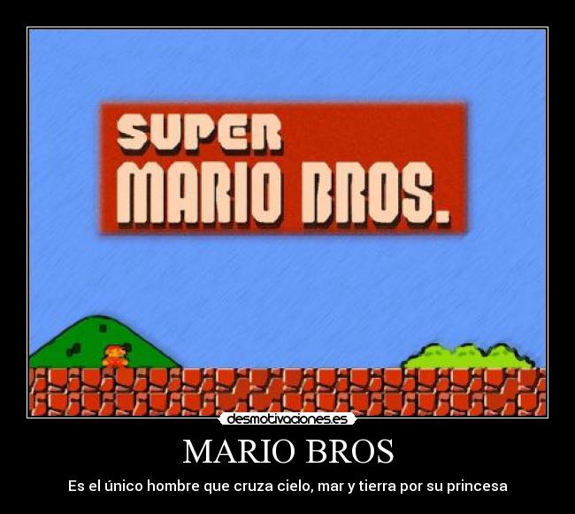 MARIO BROS -