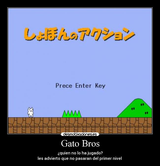 Gato Bros -