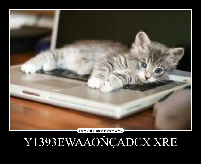 Y1393EWAAOÑÇADCX XRE - 