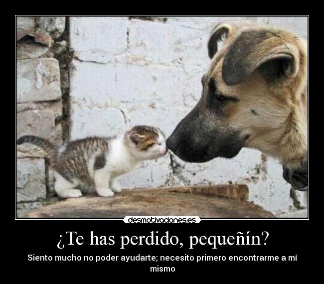 ¿Te has perdido, pequeñín? -