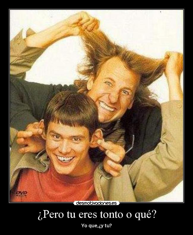 carteles tonto tontos desmotivaciones