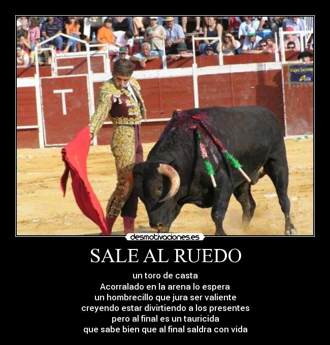 SALE AL RUEDO - 