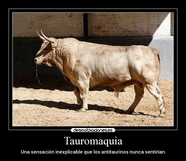 Tauromaquia -