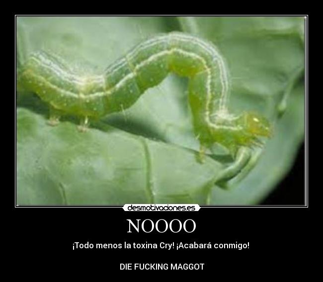 NOOOO - ¡Todo menos la toxina Cry! ¡Acabará conmigo! 

DIE FUCKING MAGGOT