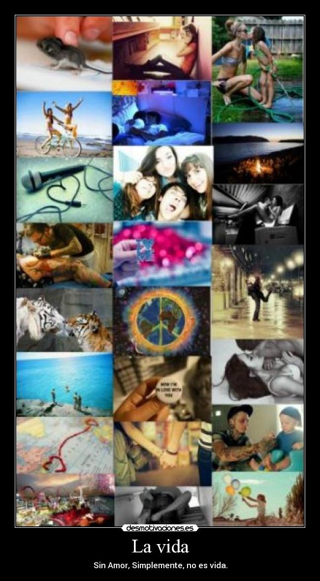 La vida - Sin Amor, Simplemente, no es vida.