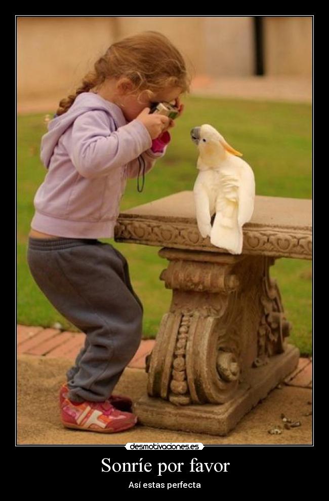 Sonríe por favor - Así estas perfecta