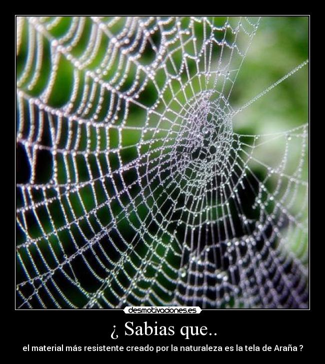 ¿ Sabias que.. -