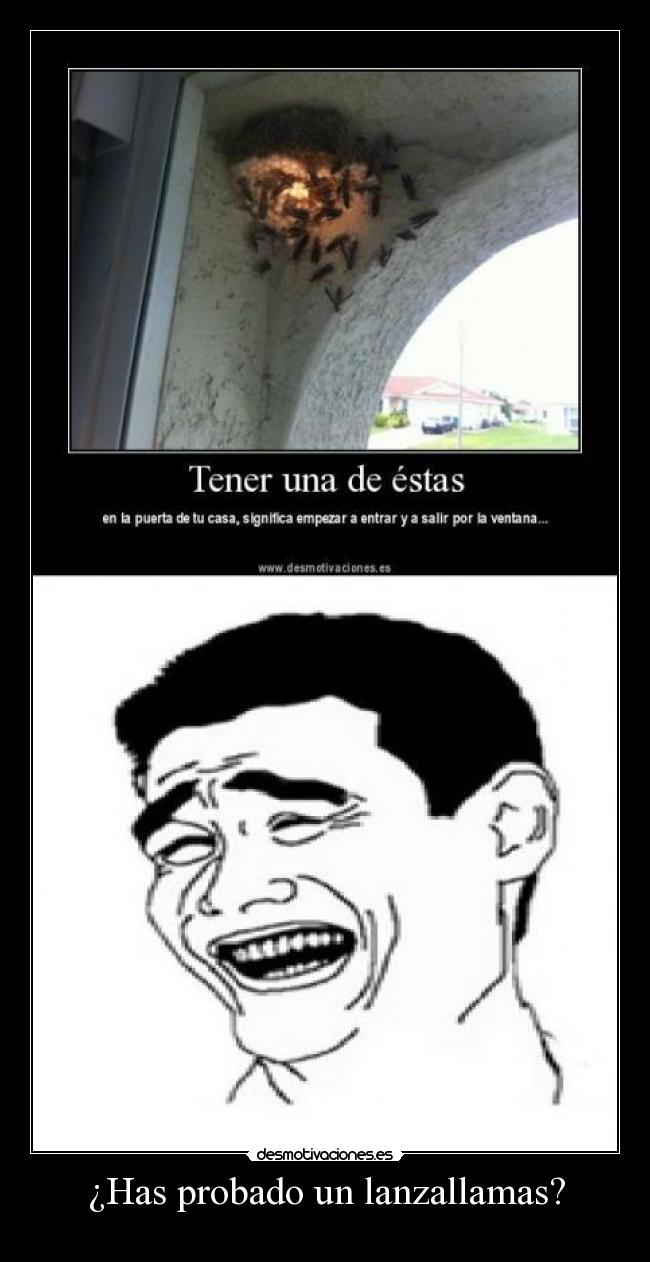 carteles consejos yao ming desmotivaciones