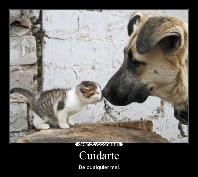 Cuidarte - De cualquier mal.