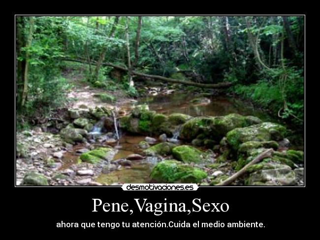Pene,Vagina,Sexo -