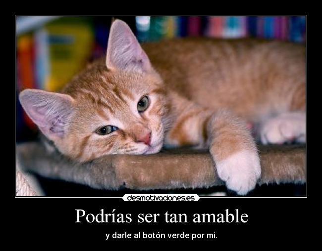 Podrías ser tan amable -