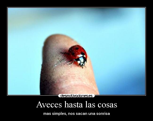 Aveces hasta las cosas - 