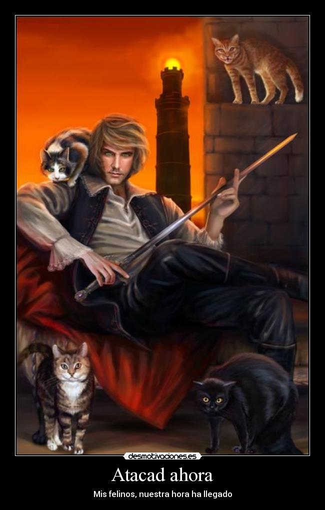 Atacad ahora - Mis felinos, nuestra hora ha llegado