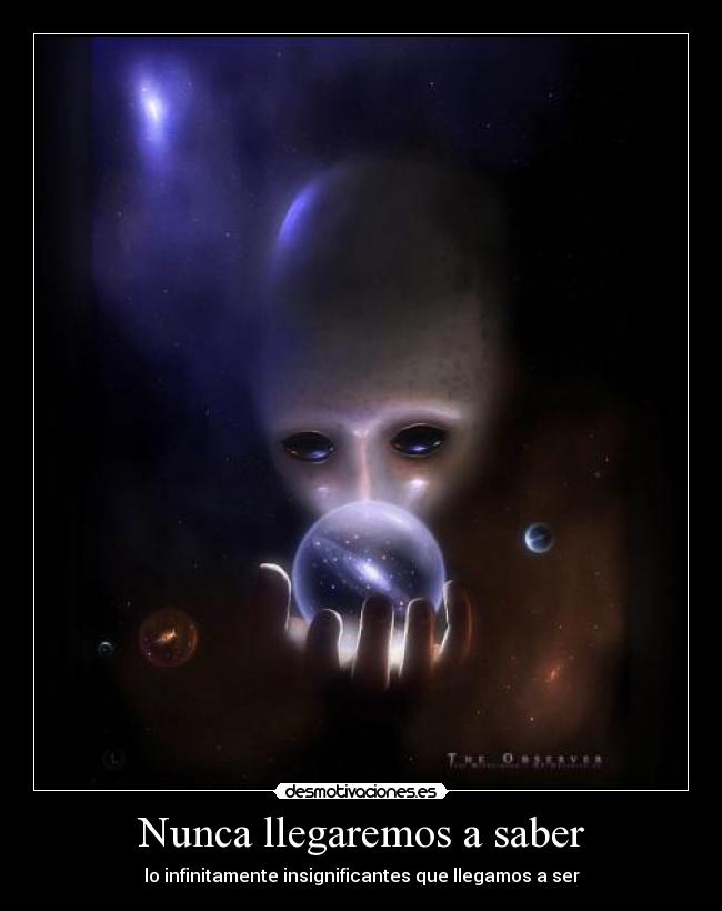 Nunca llegaremos a saber -
