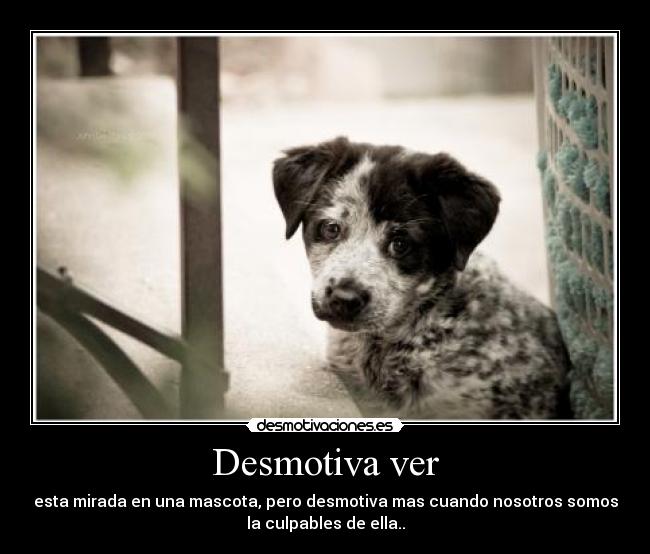 Desmotiva ver -