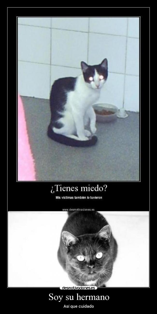 Soy su hermano - Así que cuidado