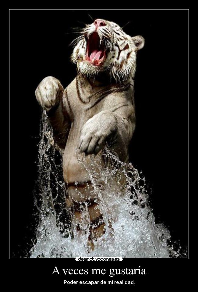 A veces me gustaría -