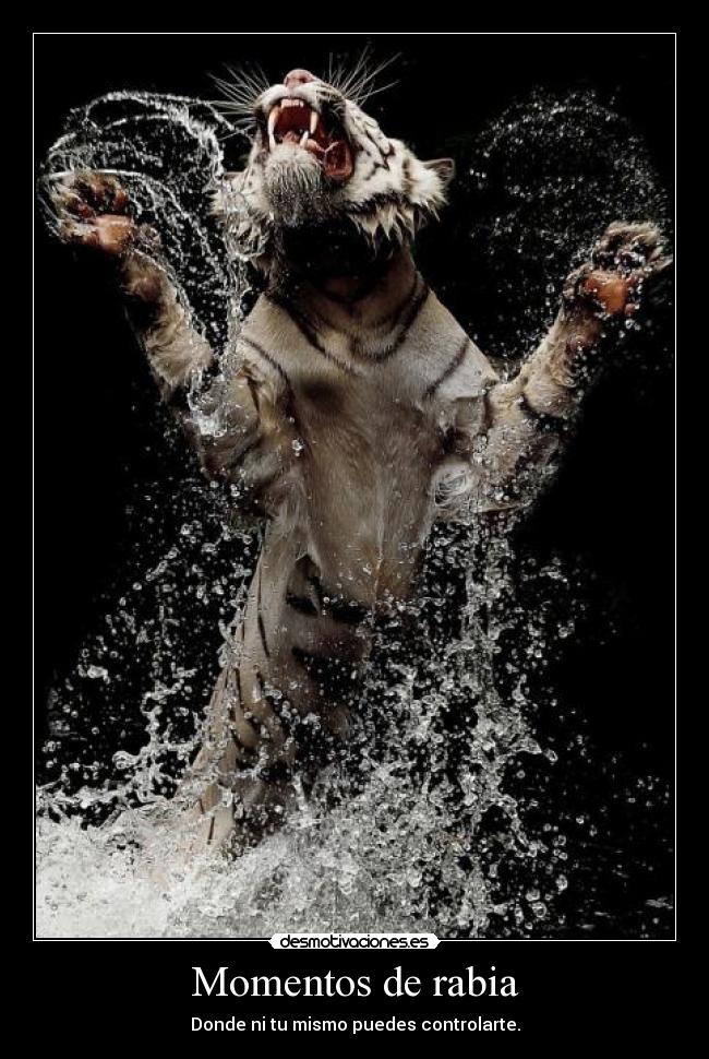 Momentos de rabia -