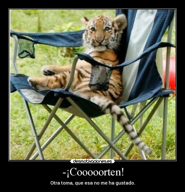 Imágenes y Carteles de TIGRES Pag. 6 | Desmotivaciones