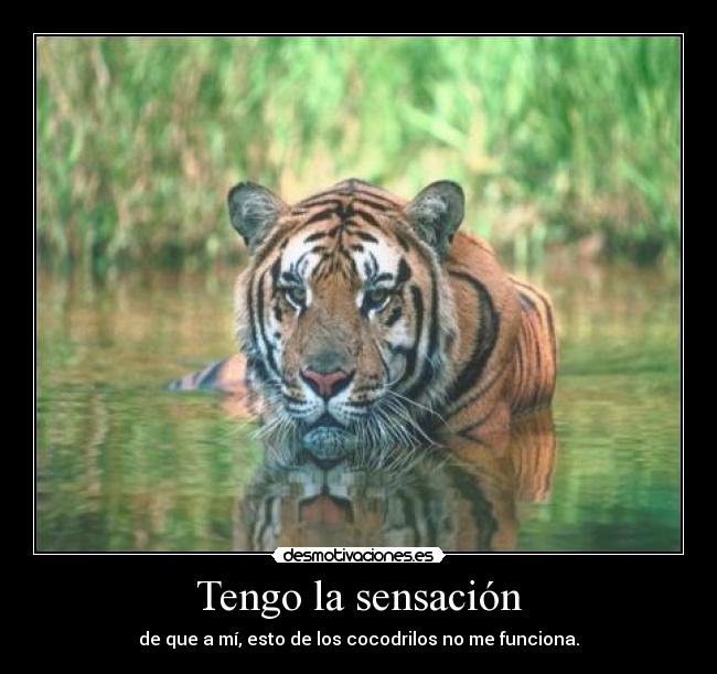 Tengo la sensación - de que a mí, esto de los cocodrilos no me funciona.