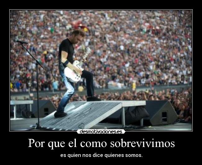 carteles rise against survive mejor cancion del mundo desmotivaciones