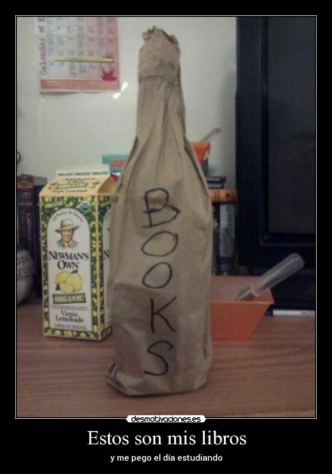 Estos son mis libros - y me pego el día estudiando