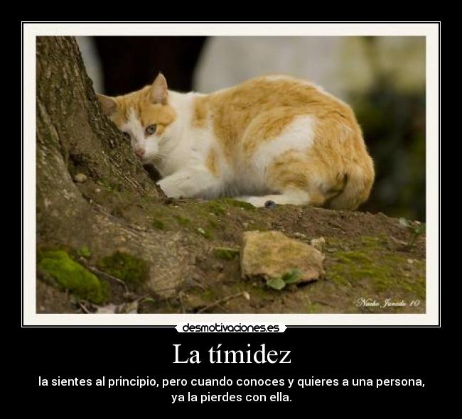 La tímidez -