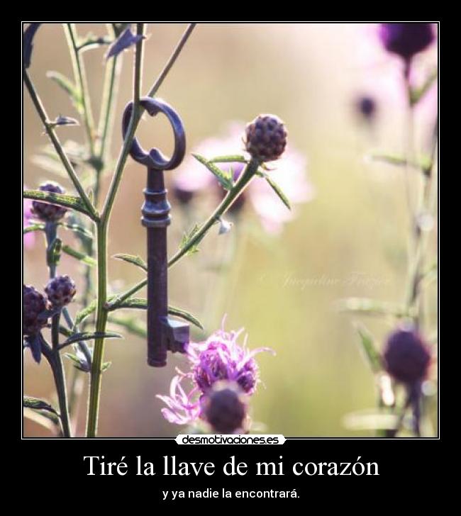 Tiré la llave de mi corazón - 