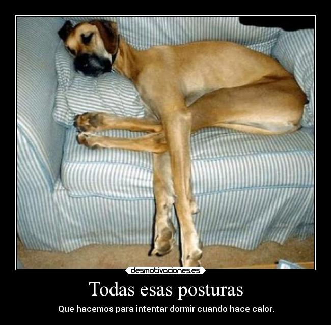 Todas esas posturas - 