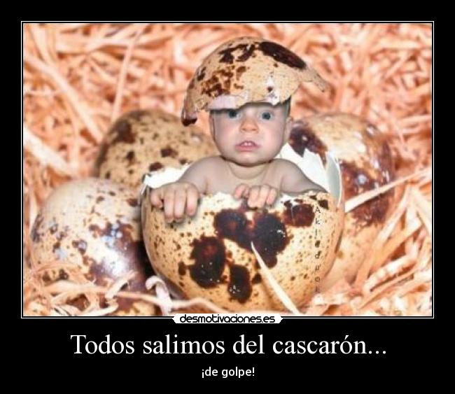 Todos salimos del cascarón... -