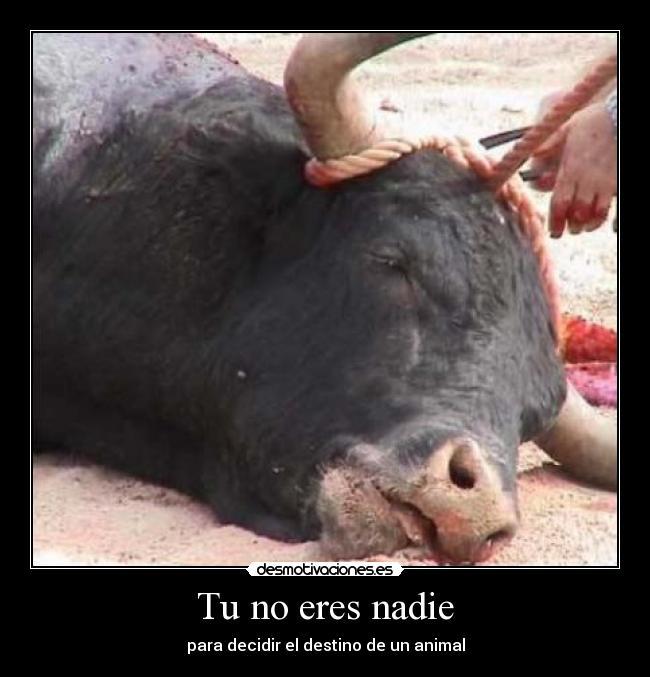 Tu no eres nadie -